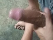 Pequeña Pajota al Despertar