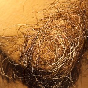 my wife&#039;s hairy pussy and clitoris