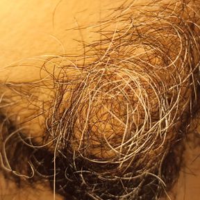 my wife&#039;s hairy pussy and clitoris