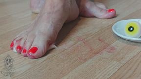 Candy didn’t stand a chance