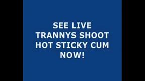 Live Tranny Cum 125