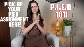 P.I.E.D Assignment 1/4