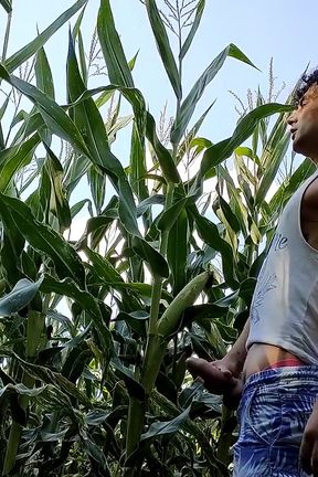 Summer Jerk off in Corn Field - Twitching Cumming Cock