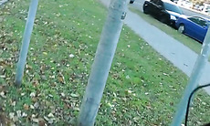 Blonde party girl loves outdoor fucking