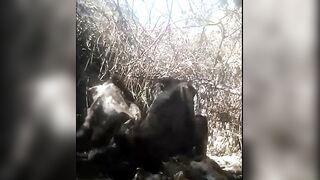 Indian Cougar's Sensual Massage Session - NSFW