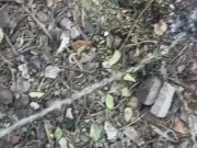 Meando al aire libre