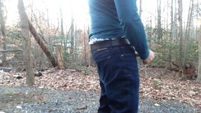 Jerking-off in the woods, public masturbation