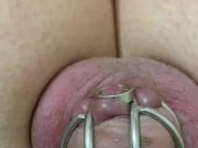 Anal vibes chastity cage sissygasm