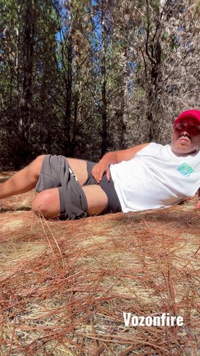 POV Secret Forest Alone