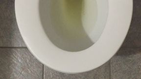 I PISS GOLD IN MY TOILET
