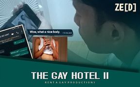 The Gay Hotel Ii