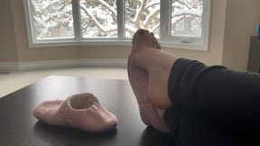 Snowy Slipper Tease