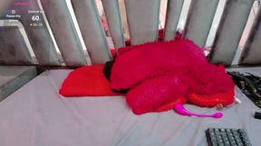 Alice Slave Private Show