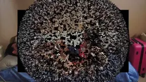 Sexy Flip Flop Lover Licks Feet Passionately Before Intimate Encounter