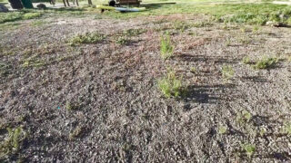 Le cul serré d'une bombe en bikini se fait baiser à fond et remplir de sperme