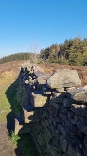 Caught Squirting in Shorts in Public! | British OnlyFans @Bambi_Boo3838