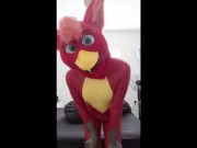 Rubber bird fursuiter Teasing and Toying for all to see