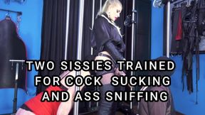 TWO SISSIES SLUTS TRAINED FOR COCK SUCKING AND ASS SNIFFING