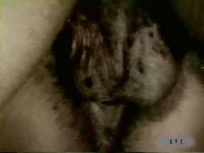 Big Black Titties Of The 70's
