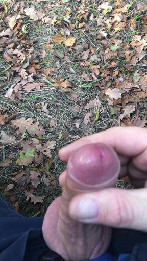 Jerk off my hard cock until I cum