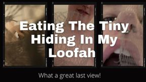 Phoenix Eats The Tiny Hiding In Her Loofah- 1080p