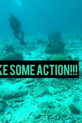 Supergirl Meets the Horniest Octopus in Bonaire