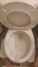 Peeing part 6