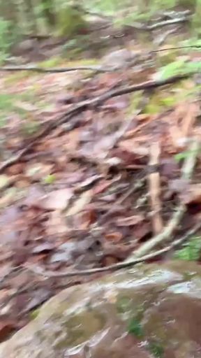 pussy pissing  water on the rock   Clip 1