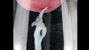 "The Shape of Water", Cumshot flowing through its natural environment