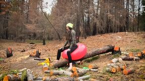 135 - Logger Girl Rides Balloons On A Tree