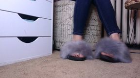 Grey Furry Slippers you say