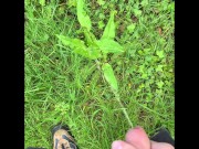 Fondling and Marking my territory in the forest. Lots of pee!