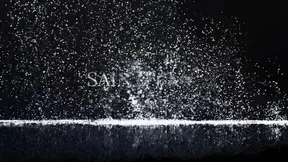 Taisa’s Doggy Cream Pie