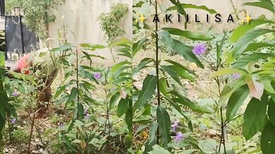 Bending Over in the Garden. You think my neighbours saw me?