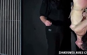Needle   for suspended asian