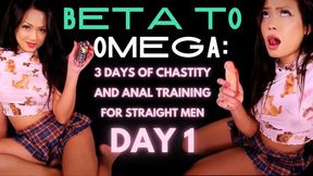 Beta to Omega: 3 Days of Chastity and Anal Training for Straight Men