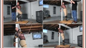 Quinn Carter Bound to the Dungeon Post! HD-WMV