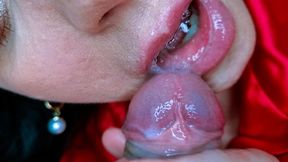 Slow Sensual Close Up Blowjob