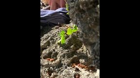 i choose a black stranger with a huge bbc to fuck me at the beach !