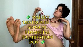 Wallet Destroyer – Sensual Financial Domination POV