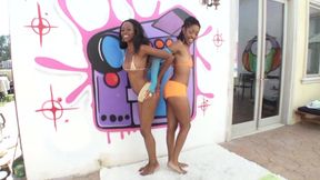 Sloppy Cocksuckers 2