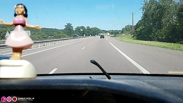 En voiture avec Charlie jusqu&#039;en Alsace : il fait chaud !