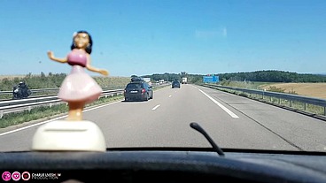En voiture avec Charlie jusqu'en Alsace : il fait chaud !