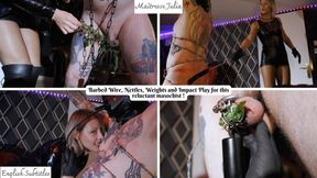 My Maso Resists? I Break Him! Nettles, Barbed Wire & Impact Play - Mistress Julia