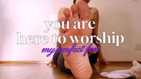 You Are Here To Worship My Perfect Feet