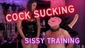 🎀 Sissy Whore gets Trained to Suck Fridge Dick (Part 2 of 3) 🎀