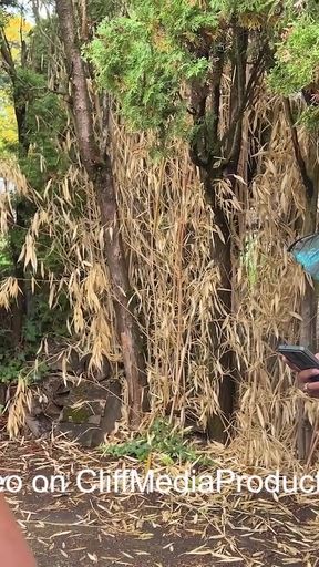 Library Fairy's Lesbian Foray - Cliff Media Productions   Clip 1