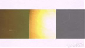 Nanda Cdzinhas e alguns dos seus machos. Quer gravar comigo ? Apenas machos sem d&oacute_ de cu!