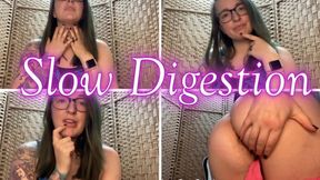 Slow Digestion MP4