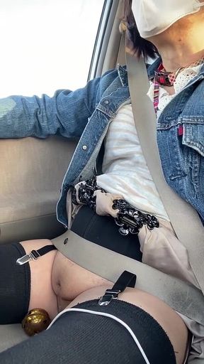 No. 197: a Drive From the Park with My Pussy on Full Display-part 2